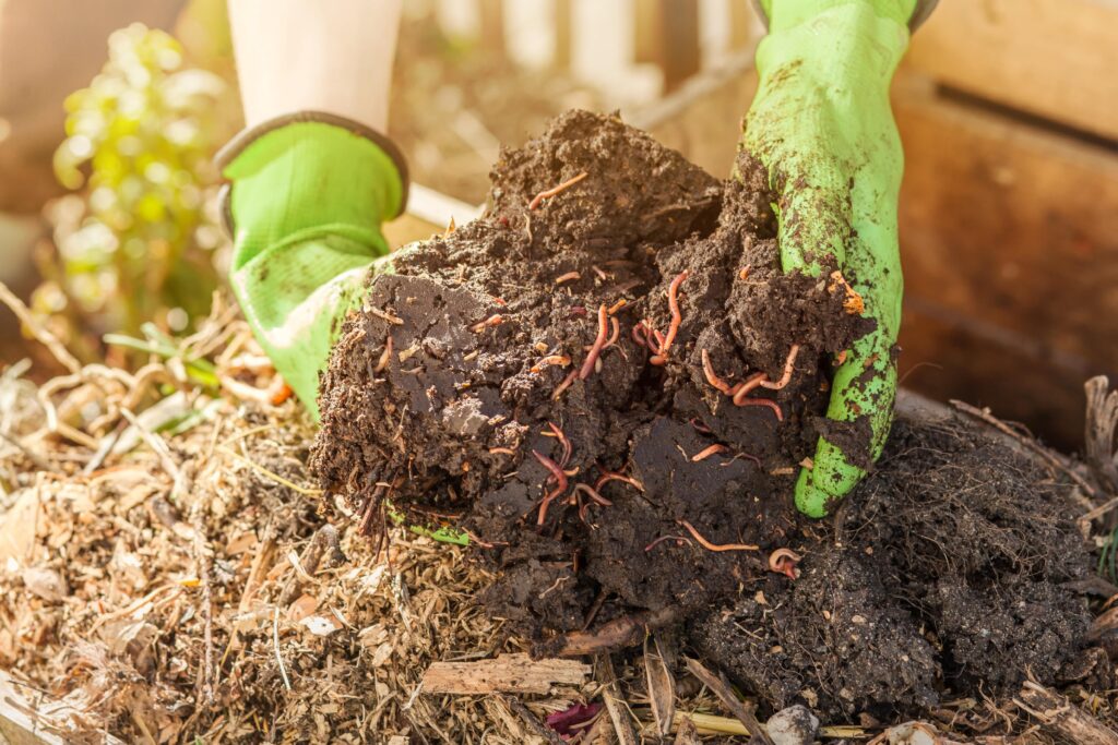 Hochbeet befüllen – Die 4 wichtigen Schichten - GartenBub