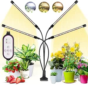 Pflanzenlampe